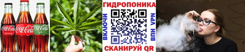 Canna-Cookies марихуана  Мамадыш 