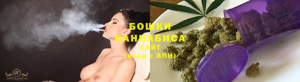 прущая мука Бородино