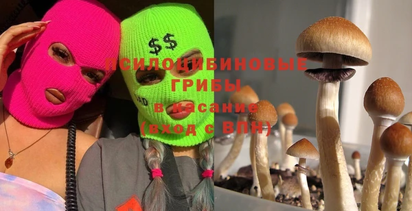 прущая мука Бородино