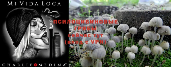 не бодяженный Бронницы