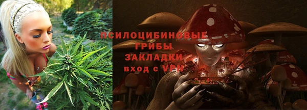 2c-b Богданович