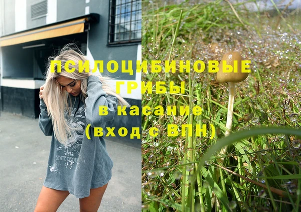 амф Богородицк
