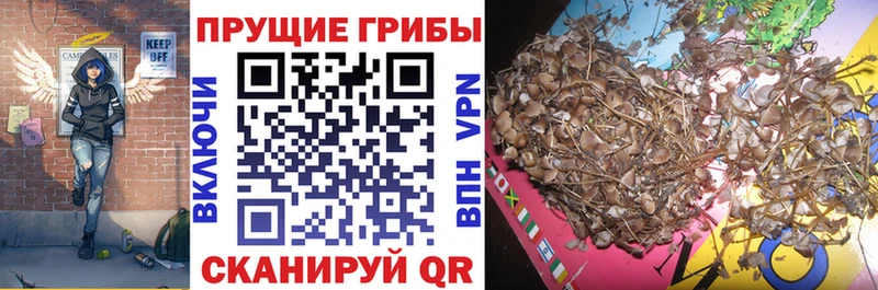 Галлюциногенные грибы GOLDEN TEACHER  Мамадыш 
